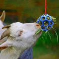 thumbnail image 4 of 2PCS Horse Treat Ball – Hanging Hay Feeder & Chew Toy, Durable TPR for Stable Use (Ball+Rope,green), 4 of 6