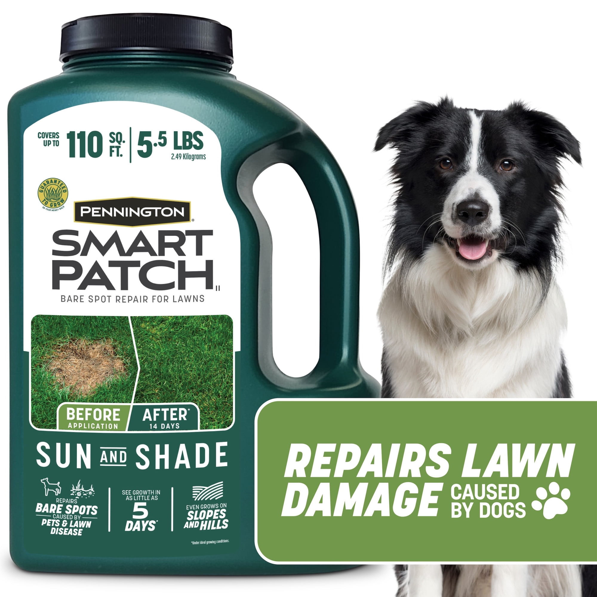 Pennington Smart Patch Sun and Shade Grass Seed Mix, for Sun to Partial Shade, 5.5 lb.