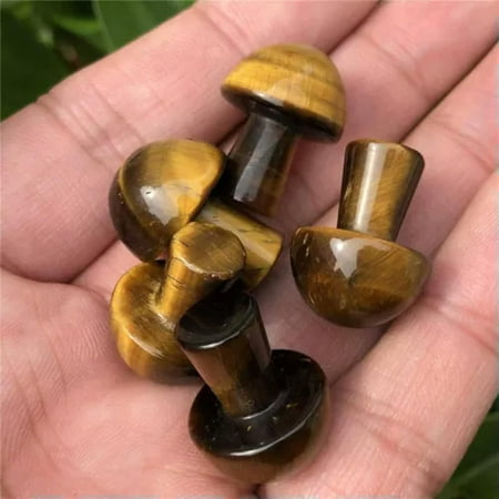 EOEMY Natural Quartz Crystal Point Stone Carved Mini Mushroom Healing Gemstone Decor-Tiger S Eye Stone EOEMY Natural Quartz Crystal Point Stone Carved Mini Mushroom Healing Gemstone Decor-Tiger S Eye Stone