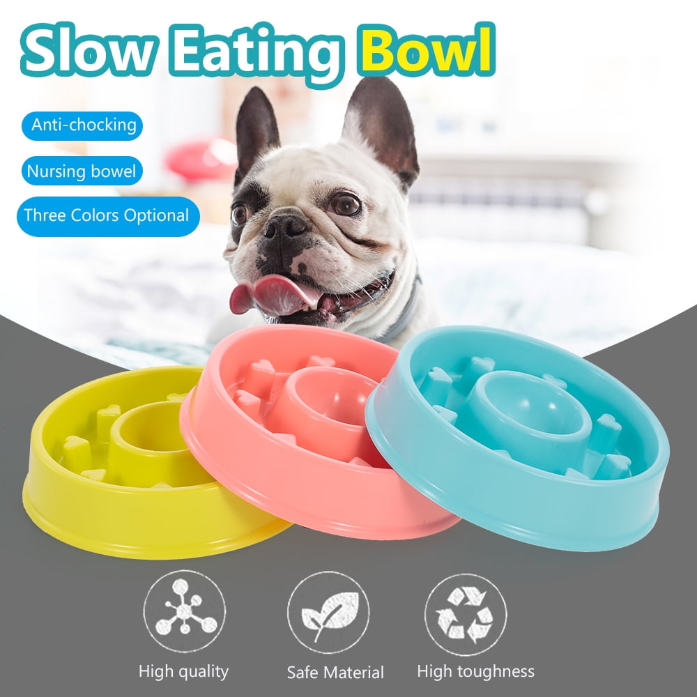 Durable Preventing Choking Dog Feeder Slow Eating Pet Bowl Pet