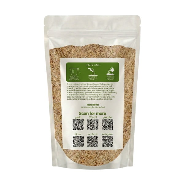 Old Cobblers Farm™ Wicked Tuff Turf Creeping Red Fescue (Grasses) (5 lbs | 10 lbs | 15 lbs | 20 lbs) (20lbs)