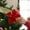 Red, variant on Konghyp Christmas Glitter Magnolia with Stems, Artificial Christmas Tree Decoration, Holiday Home Decor, Festive Wreath Floral Arrangement, Durable Faux Flowers for Party Decoration