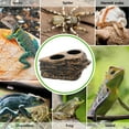 thumbnail image 3 of Miangastore Bassin Suspendu pour Reptiles, Récipient Alimentaire, Distributeur d'Eau pour Reptiles, 3 of 8