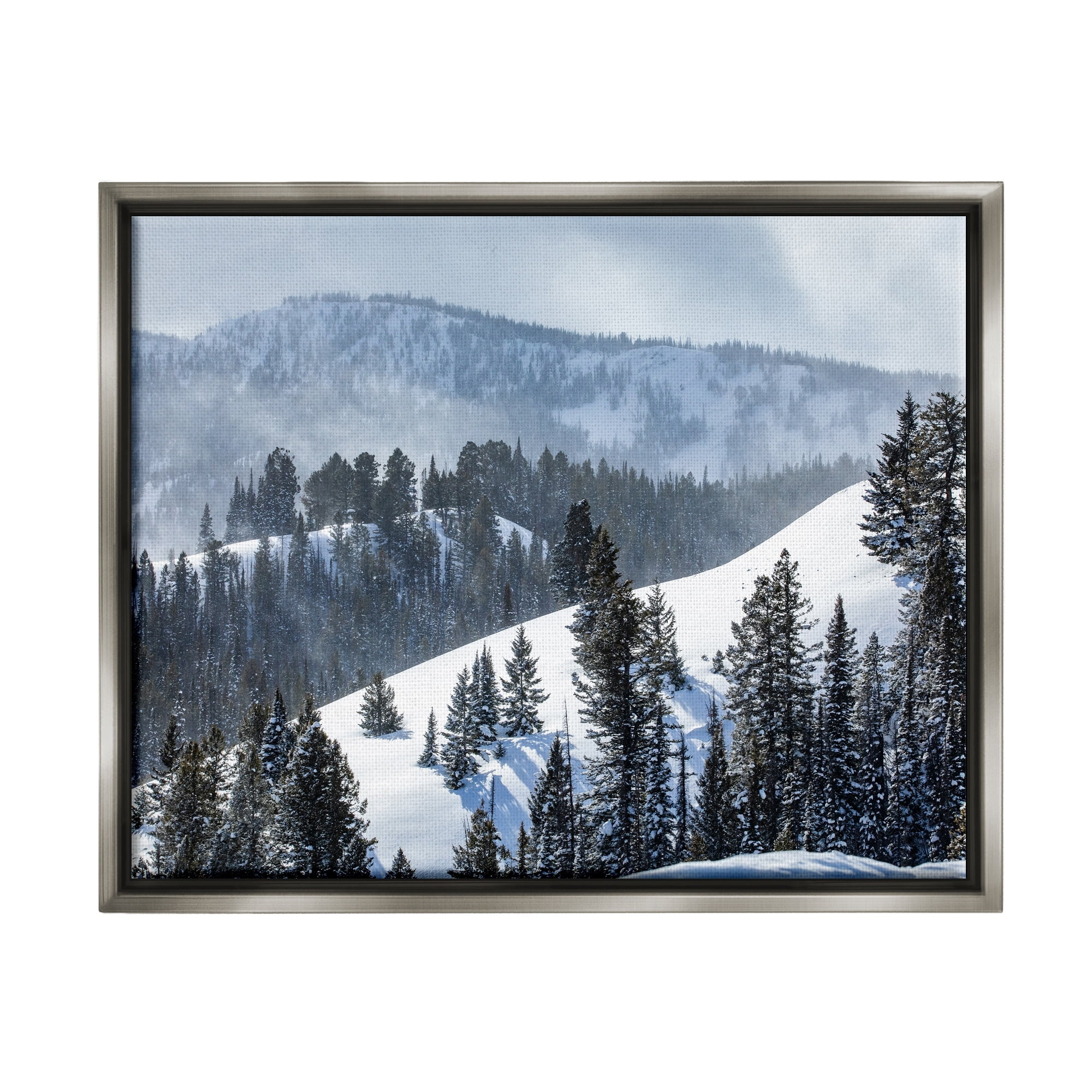 Stupell Industries Quiet Snowy Mountain Slopes Scattered Fir Trees Photograph Luster Gray Floating Framed Canvas Print Wall Art, Design by Steve Smith