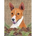thumbnail image 1 of Carolines Treasures SC9036GF Basenji Flag - Taille Jardin, 1 of 3