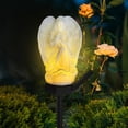 thumbnail image 1 of Lumière de Jardin Ange Solaire, 1 of 7