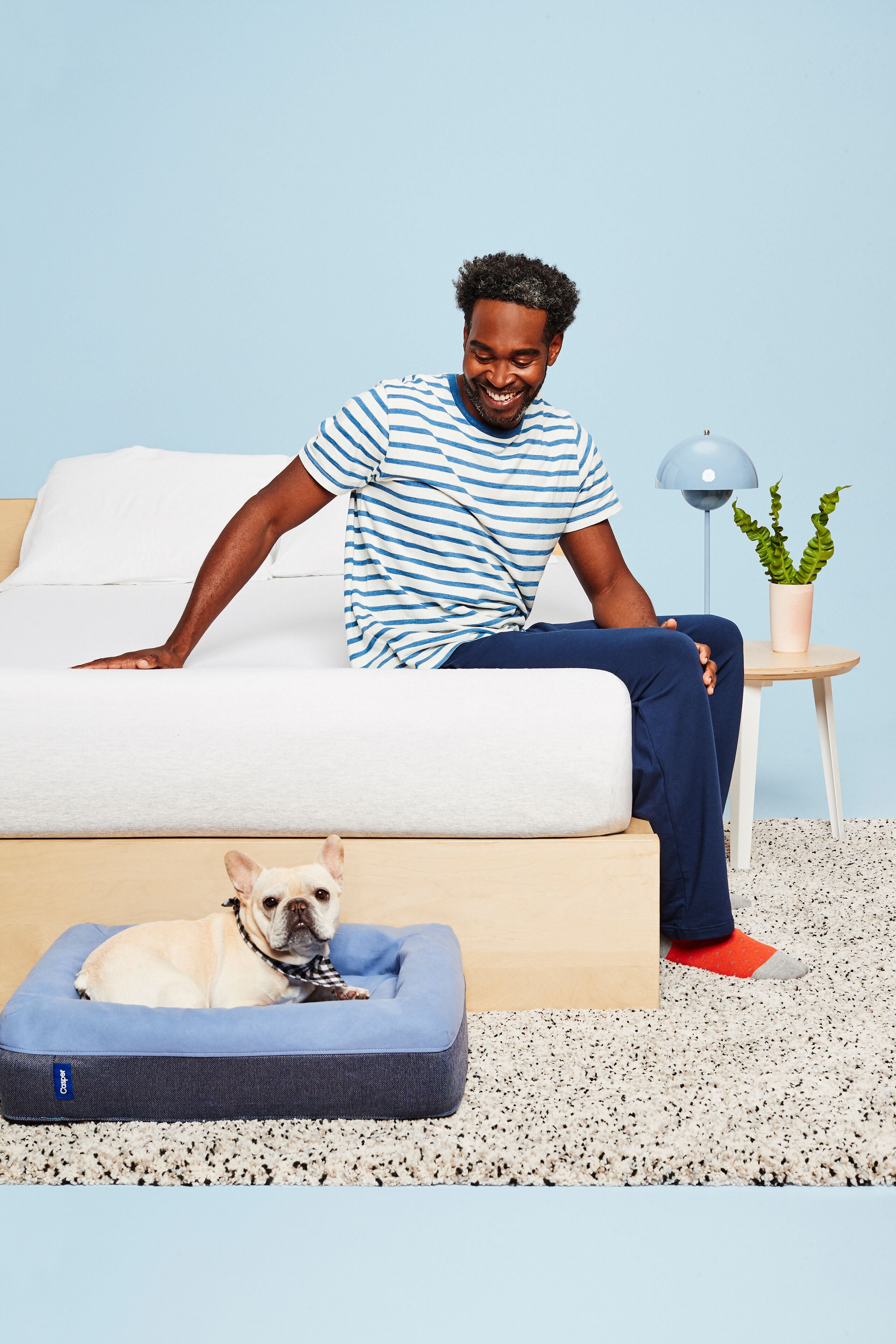 Casper dog bed best sale medium