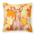 thumbnail image 1 of Carolines Treasures BB9976PW1414 Pharaoh Hound Fall Fabric Decorative Pillow, 1 of 4