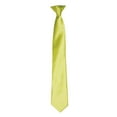 thumbnail image 1 of Premier Couleurs Cravate à Pince en Satin pour Hommes, 1 of 3