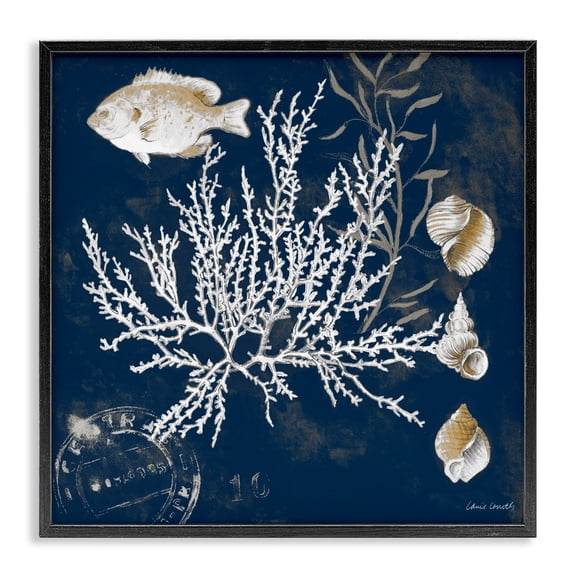 Stupell Industries Traditional Coral Medley on Blue Black Framed Giclee Art, 12 x 12, by Lanie Loreth