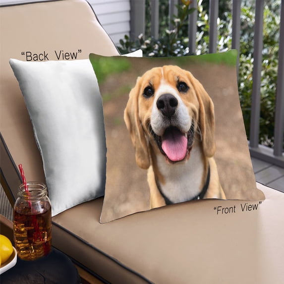 Ahgly Company Dogs Beagle Outdoor Throw Pillow, 18 inch by 18 inch