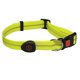 thumbnail image 1 of FloreceBien Adecuado para caminar de noche en la oscuridad con correa de cuero para perros que brilla en la oscuridad y cinturón de seguridad iluminado por USB recargable, 1 of 5