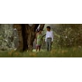 thumbnail image 3 of The Learning Tree (Criterion Collection) (DVD), Criterion Collection, Drama, 3 of 3