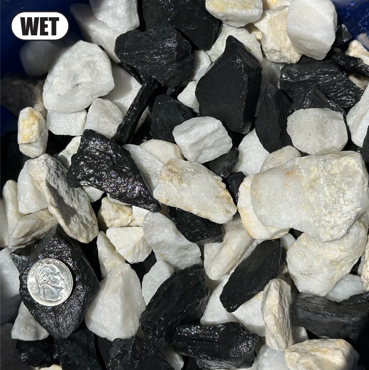 20 Pounds of Black & White Rocks, Size 1" to 3", Gravel Pebbles Stones for Landscaping, Terrariums, Aquariums, Gardens, Pond Water Features, Flower Beds, Pots, Decorative Walkways, Crystals, etc
