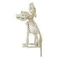 thumbnail image 1 of 3-Headed animated Skeleton Wolf decoration,Halloween Decor,by way to celebrate, 1 of 5