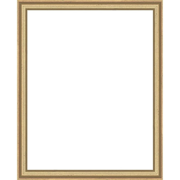 Herrschners® Deep Inset 16 x 20" (30 x 41cm)  Gold Sectional Frame