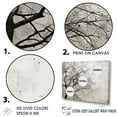 thumbnail image 3 of Designart "Dreamlike White Pine Minimalism I" Tree Pine Floater Framed Wall Art Prints, 3 of 5