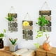 thumbnail image 2 of Jarrón hidropónico colgante - - Decoración de pared con tablero de madera para colgar plantas, flores, cristalería para el hogar, jardín, sala de estar, cafetería, decoración 30,3 x 17,3 cm （Invierno）, 2 of 5