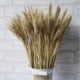 thumbnail image 4 of 100pcs Artificial Natural Wheat Dried Flowers Bouquet Simulation Plant Living Room Decoration, 4 of 5