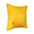 thumbnail image 2 of Bingfone Decorative Pillow Covers 18"X18" Yellow Lemon Couch Pillow Cases Modern Farmhouse Covers For Couch Sofa Bed, 2 of 9
