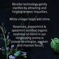 thumbnail image 3 of Aveda Rosemary Mint Lightweight Purifying Shampoo, 8.5 oz, 3 of 5