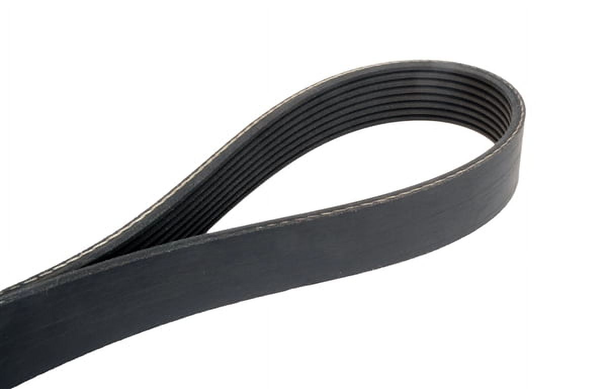 Continental 4081325 Multi-V