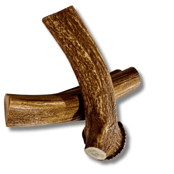2 Pack - XL Deer Antler Dog Chew - Extra Large Twin Pack - WhiteTail Naturals