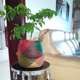 thumbnail image 3 of Cesta de almacenamiento para colgar tejida de hierba plegable, maceta para plantas de jardín (L Tmvgtek Para estrenar, 3 of 8
