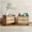 Walnut 2Pcs, variant on CARTMAN Rattan Nightstand Set of 2 Bedside Table with TypeC Charging Station 2 Storage Drawer Space Boho End Table Side Table for Bedroom Living Room Office Large Night Stand with Charging Port