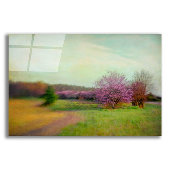 Epic Art 'Nature Is Divine' by Dawn D Hanna, Acrylic Glass Wall Art, 16"x12"