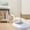 Grey, variant on Shldybc Cat Litter Box Pet Supplies Semi-enclosed Pussy Litter Box Pussy Toilet with Pussy Litter Scoop Pussy Litter Box Pet Supplies