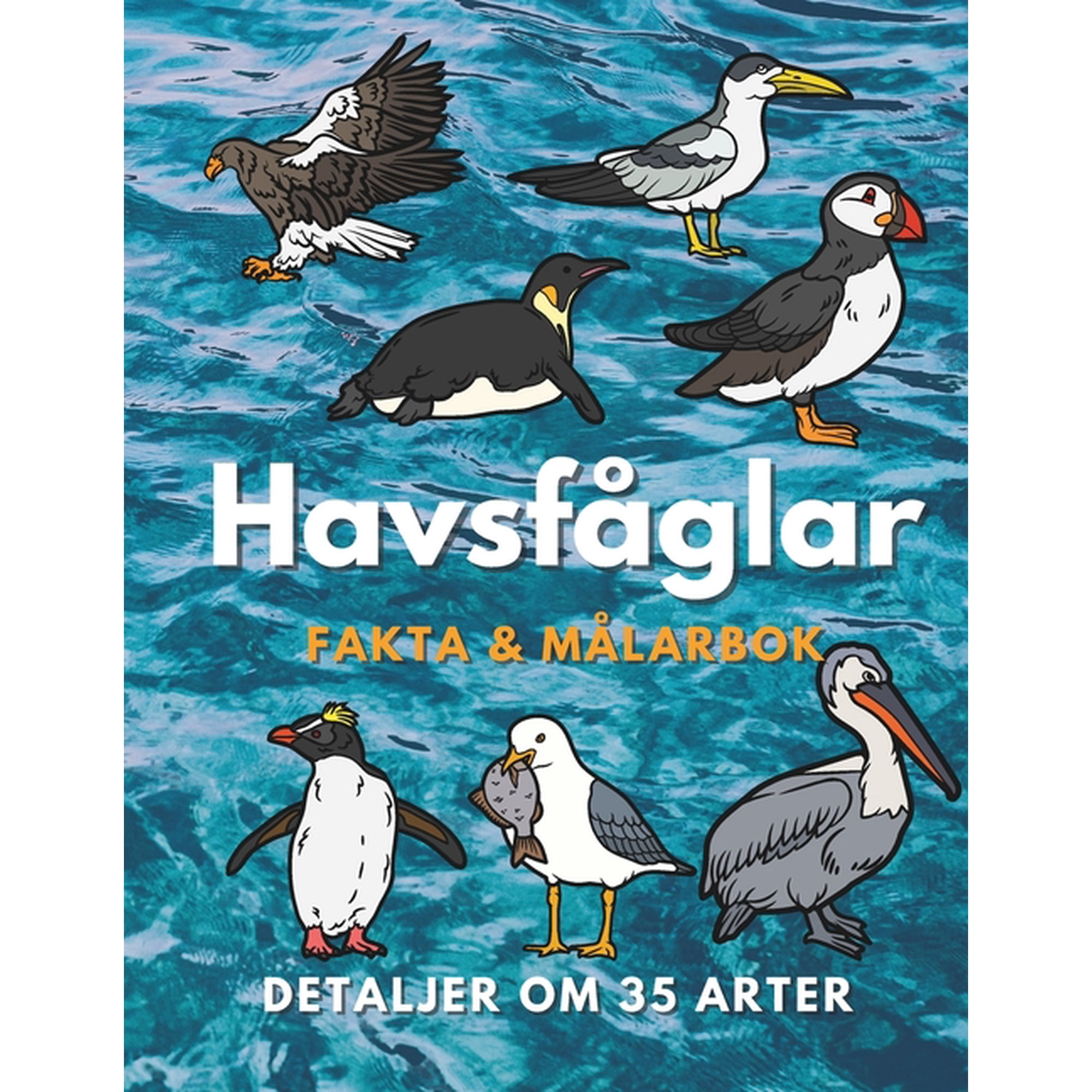 Havsf&Atilde;&yen;glar: Fakta och m&Atilde;&yen;larbok: f&Atilde;&para;r barn i &Atilde;&yen;ldrarna 2 till 16 &Atilde;&yen;r (Paperback)