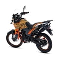 thumbnail image 4 of Motocicleta Doble Proposito TRECK RAVEN 300 2025 Marron, 4 of 12