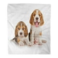 thumbnail image 1 of SIDONKU 50x60 inch Super Soft Throw Blanket Brown Dog Cute Beagle Puppy Week Old Yellow Sitting Funny Paw Two White Adorable Home Decorative Flannel Velvet Plush Blanket, 1 of 1