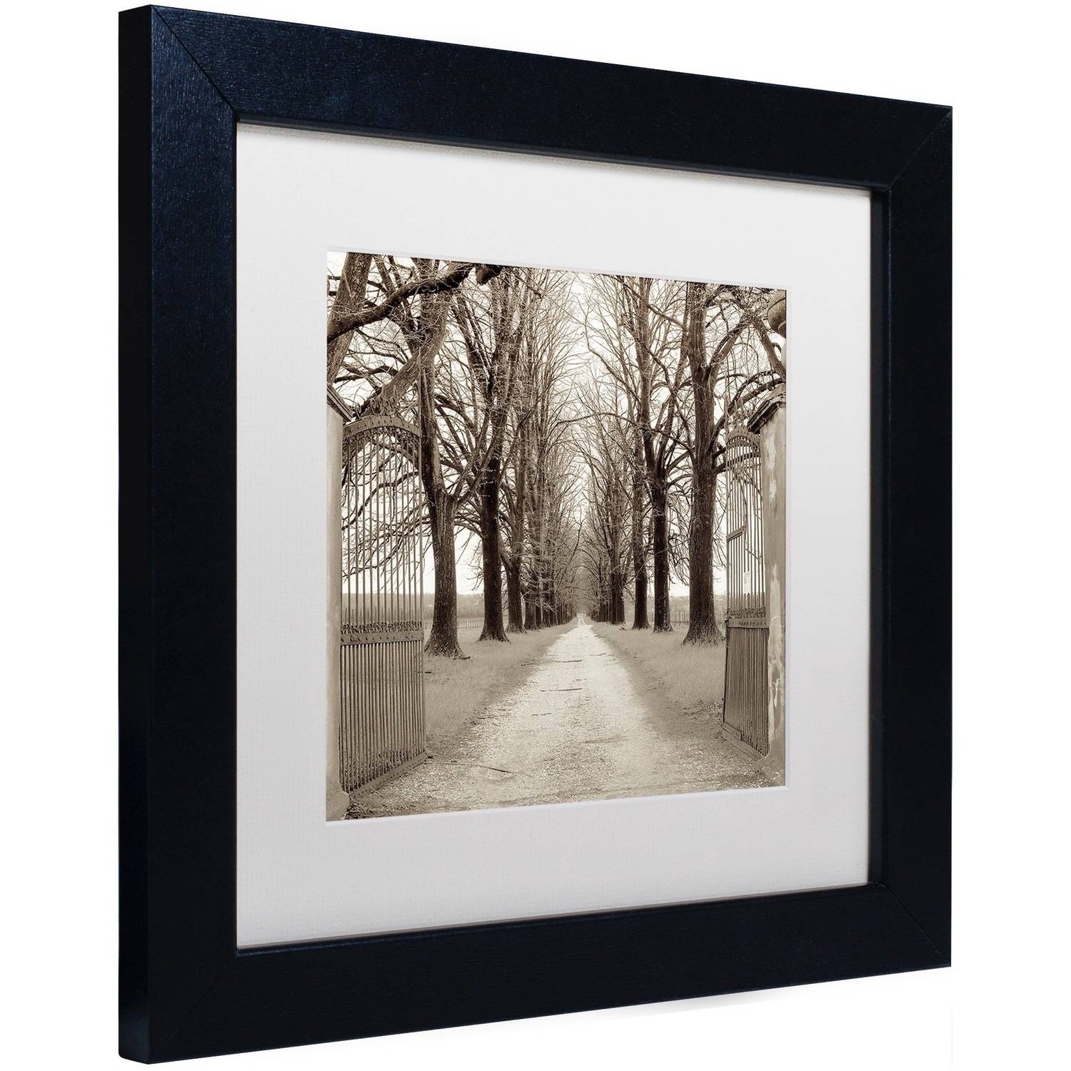 Trademark Fine Art "Veneto Giardini I" Canvas Art by Alan Blaustein, White Matte, Black Frame