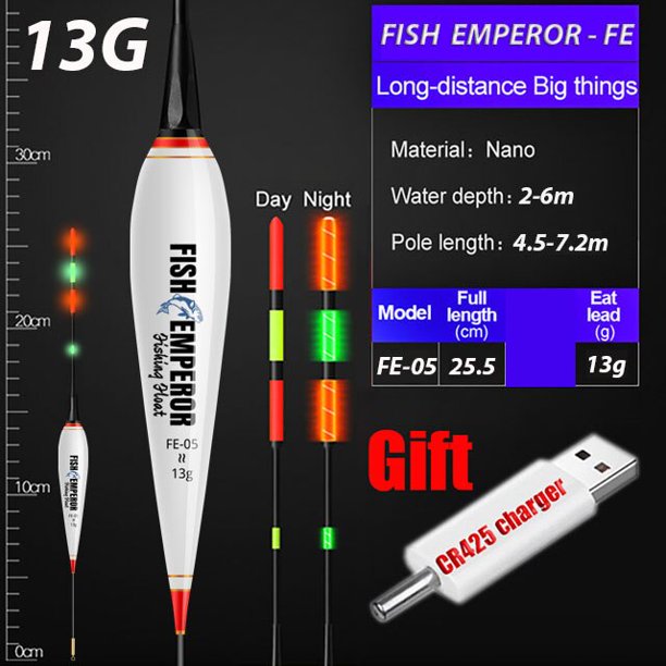 Juego de flotador electrónico de pesca 5g 7g 10g con cargador y batería recargable accesorios que brillan en la noche aparejos de carpa marina verano Tan Jianjun unisex