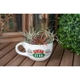 thumbnail image 6 of Silver Buffalo SVB-FRD31033-C Friends Central Perk Ceramic 24oz White Ceramic Soup Mug, 6 of 7