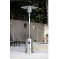 thumbnail image 1 of Paramount Patio Heater, Stainless Steel, 1 of 9