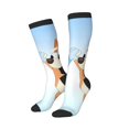 thumbnail image 2 of Saiise Bluey Funny Socks Men Women Boys Kids Adults Novelty Graphic Crew Tube Socks Crazy Design Casual Dress Socks for Sports,Running,Travel, 2 of 7