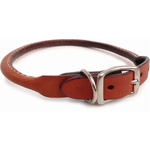 Auburn Leathercrafters Collier pour Chien Roulé - Beige - 10