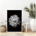 thumbnail image 3 of IDEA4WALL Framed Canvas Art Wall Decor Chrysanthemum Floral Flower Photography Minimalism Modern Closeup Dramatic Black and White for Dorm Home Office - 16"x24", 3 of 4