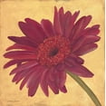 thumbnail image 2 of Marrott, Stephanie 15x15 Black Ornate Wood Framed with Double Matting Museum Art Print Titled - Gerber III, 2 of 4