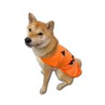 thumbnail image 2 of Disfraz de perro ComfyCamper con capa de calabaza para Halloween, tamaño grande, 2 of 4