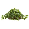 thumbnail image 1 of Nearly Natural Pothos w/Ledge Basket, 1 of 3