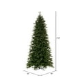 thumbnail image 3 of Vickerman 7.5' x 44" Douglas Fir Artificial Slim Unlit Christmas Tree., 3 of 5