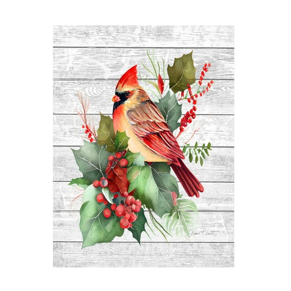 Canvas Wall Art - Jean Plout 'Cardinal Christmas on Shiplap 2' Wall Art for Living Room, Bedroom, or Office Décor by Trademark Fine Art - 14 x 19 Inches