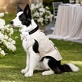 thumbnail image 3 of Dog Tuxedo for Large Dogs with Bow Tie Collar and Tailcoat Design,Jacket for Dogs for Halloween,Christmas,and Wedding,for Dogs for Parties,1 Pack, 3 of 4