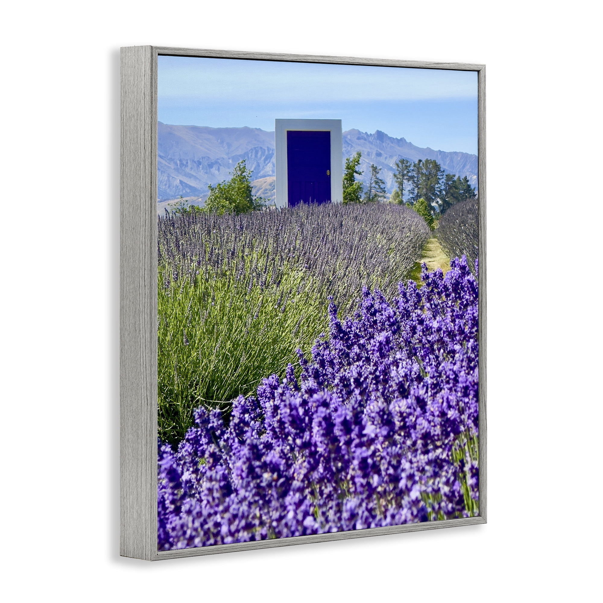 Stupell Industries Surreal Doorway Landscape Landscape Photography Gray Framed Art Print Wall Art, 24 x 30