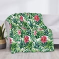 thumbnail image 3 of Rateoe Succulents 1 Pattern Flannel Throw Blanket, Ultra-soft Blanket for Bed, Couch, Car, Hypoallergenic Anti-pilling blanket-60"x50"(Horizontal), 3 of 6