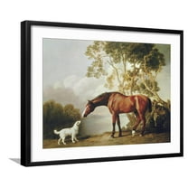 Art.com Bay Horse and White Dog Art Print by George Stubbs, Black Frame Wall Art, 29" x 23"